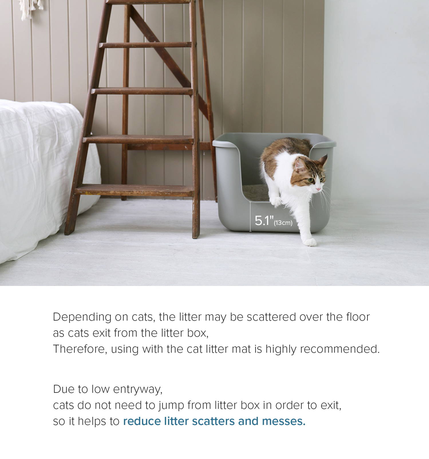 Korean cat litter box outlet